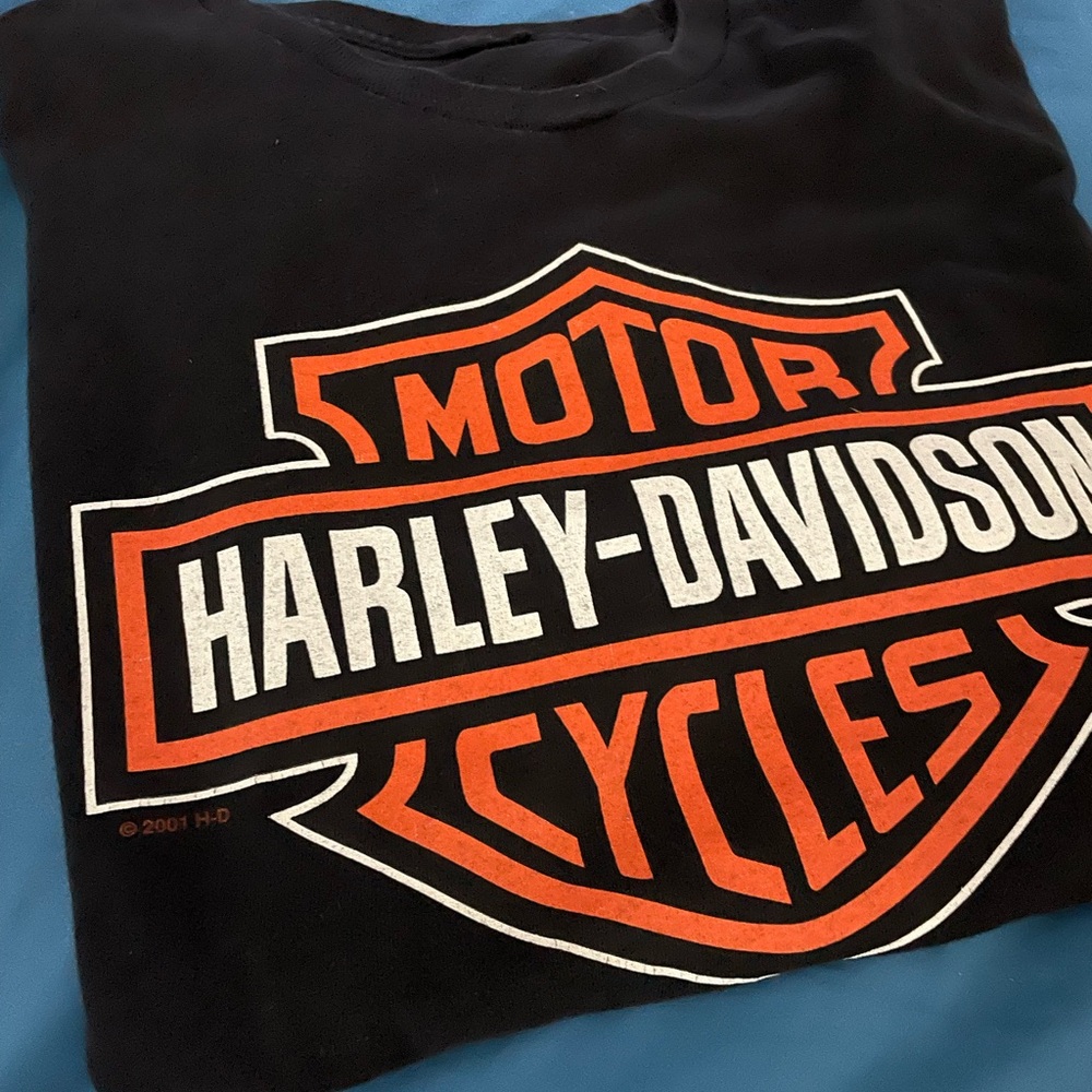 Harley Davidson store shirt Large the label is gone.(not faded)